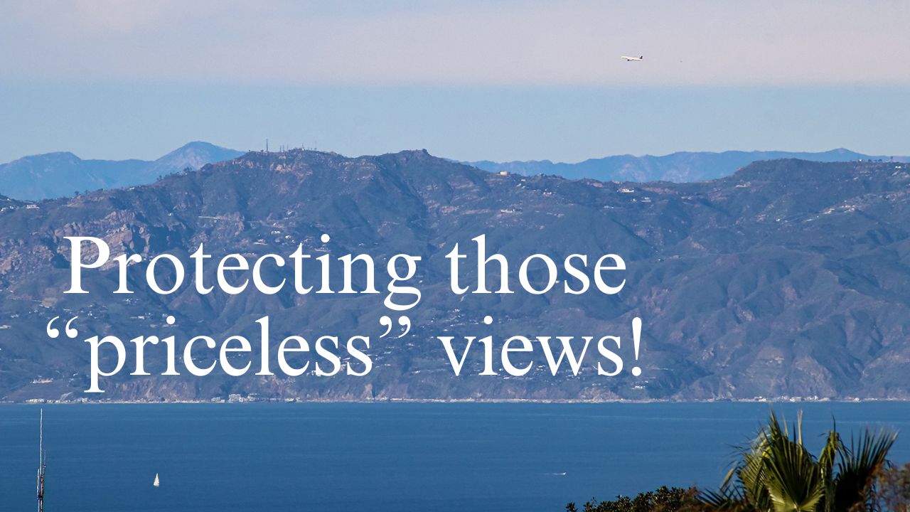 Rancho Palos Verdes view restoration ordinance