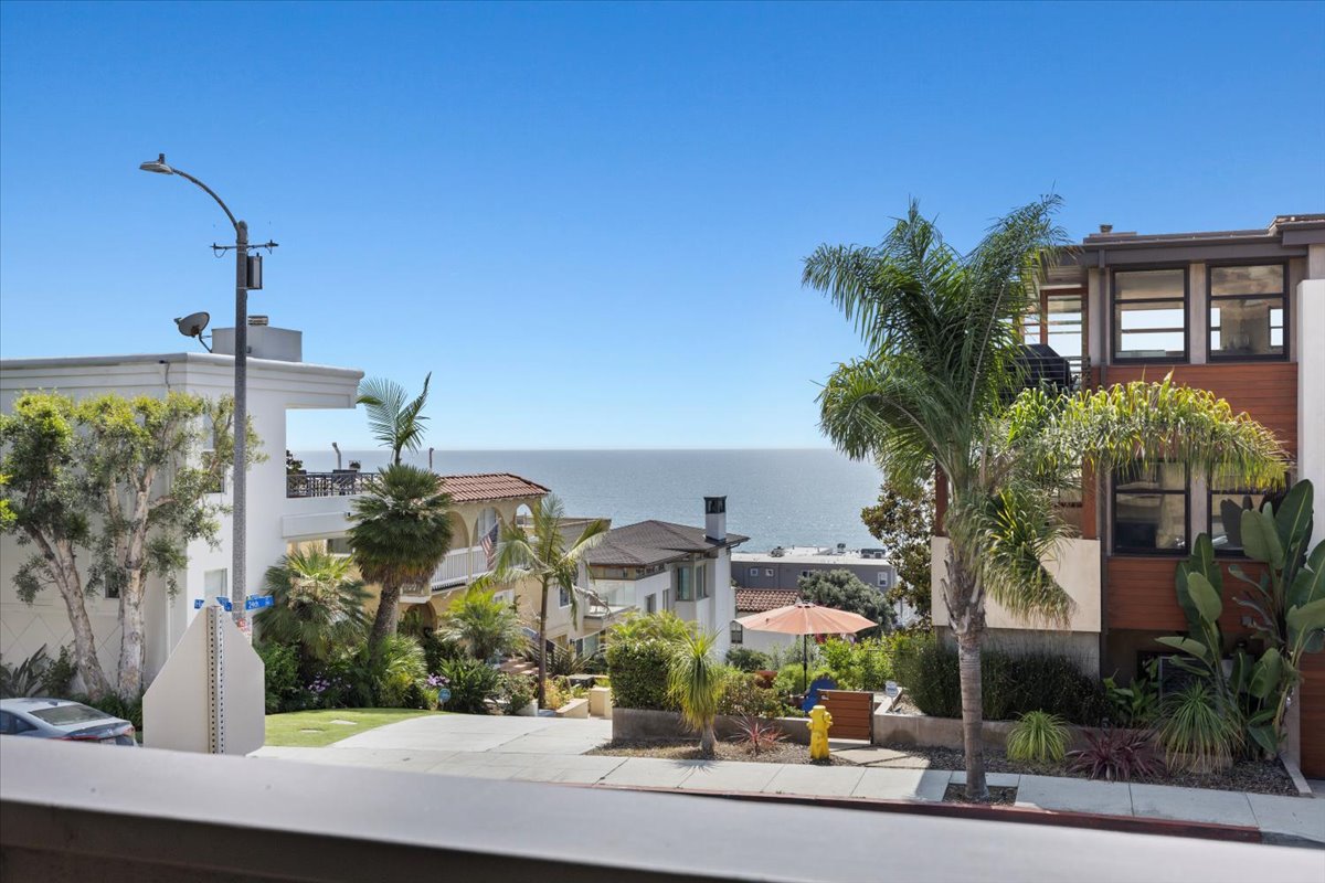 Street of coastal homes lined with palms, ocean beyond