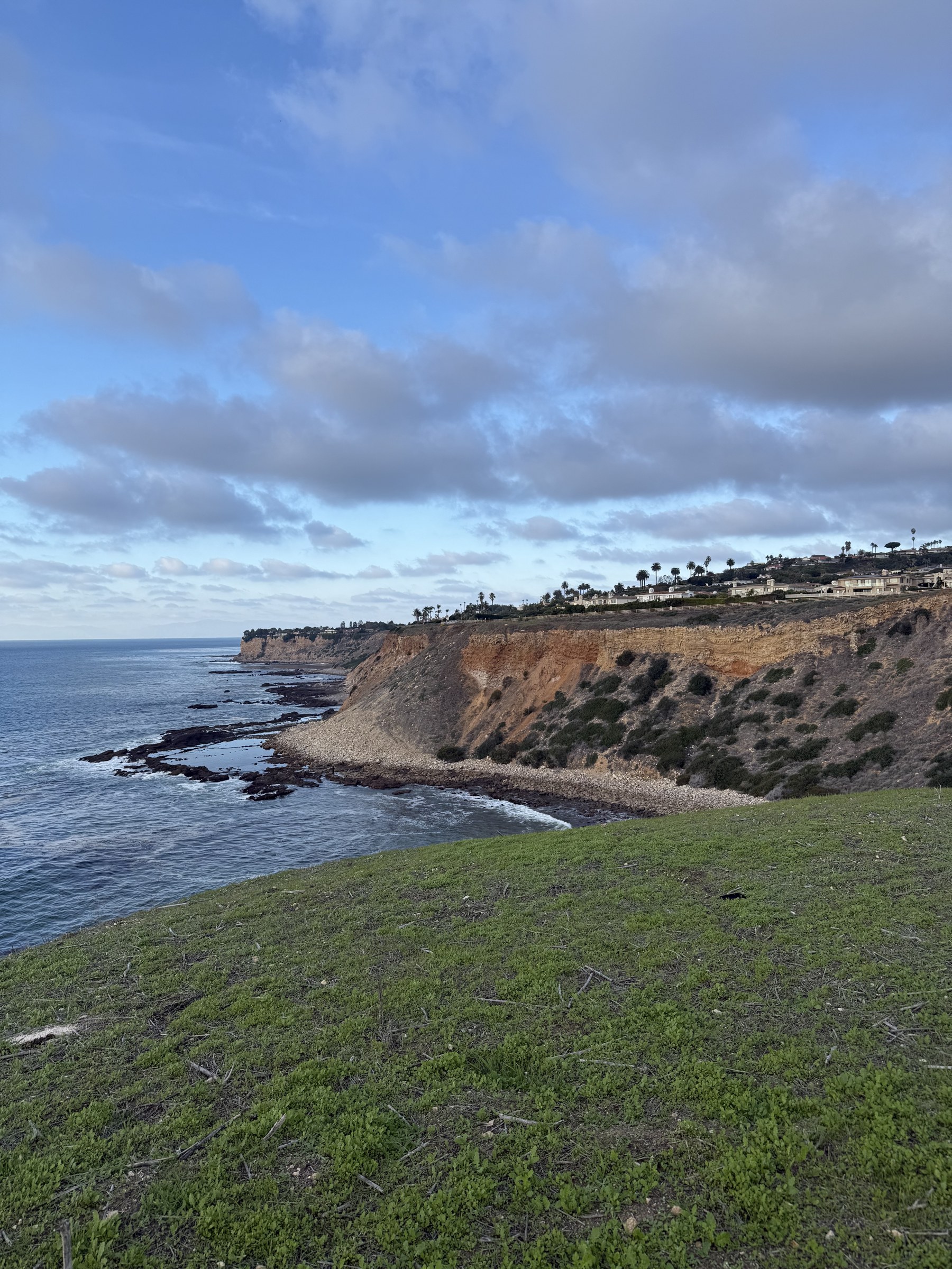 Grassy coastal bluff looking toward the Point Vicente headland, Rancho Palos Verdes