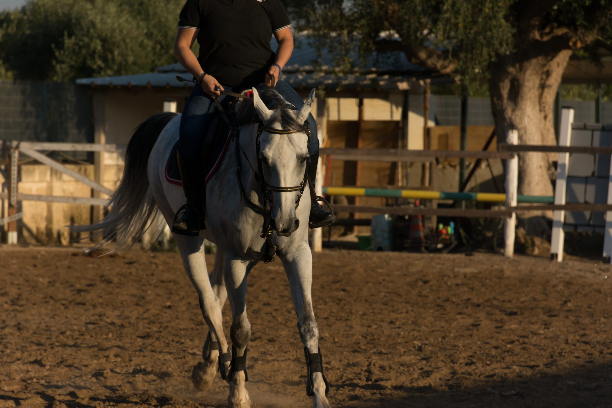 Rider on horseback in an arena at a private stable on the Palos Verdes Peninsula
