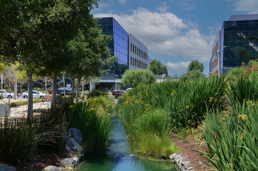 Playa Vista, a master planned community on the Westside of Los Angeles within the Silicon Beach area