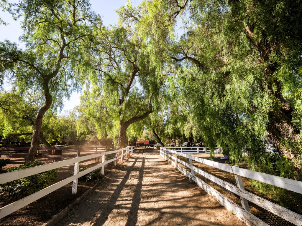 Equestrian trails winding through Rolling Hills and Rolling Hills Estates on the Palos Verdes Peninsula