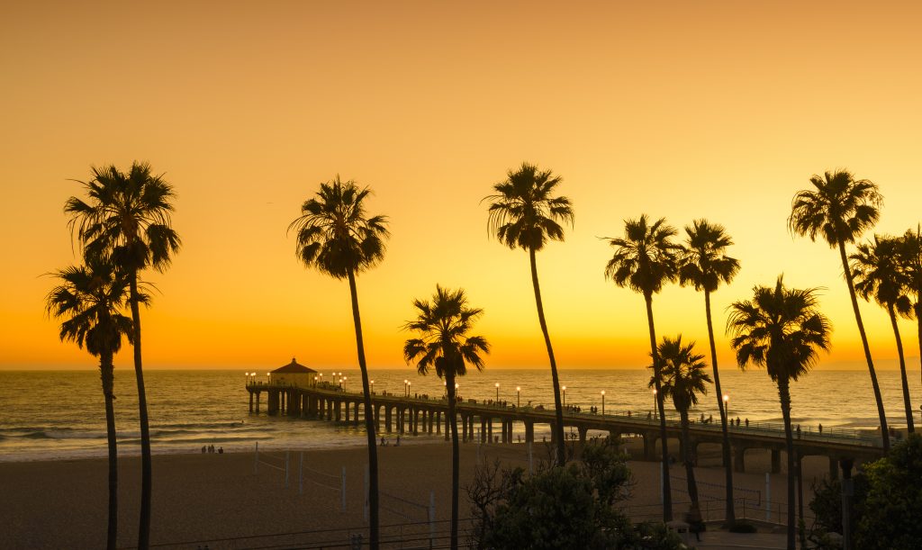 Palm trees silhouetted against a golden sunset above the Manhattan Beach Pier