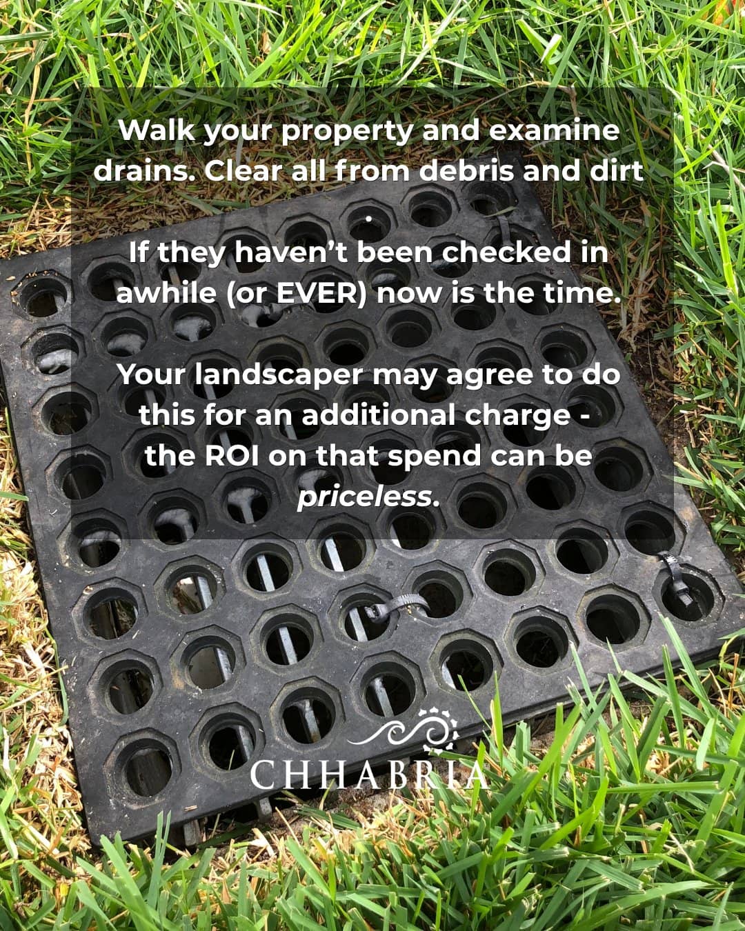Yard drains before El Niño